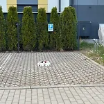 Katarzyna *